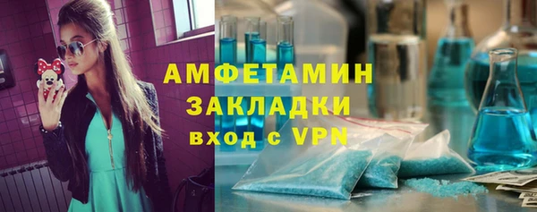 гидра Верхний Тагил