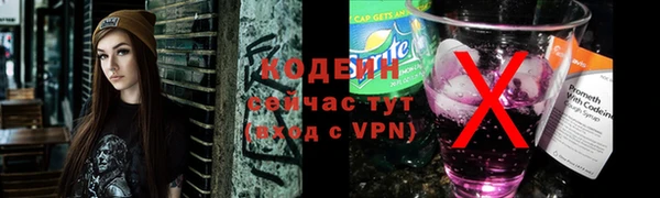 гидра Верхний Тагил
