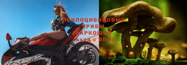 альфа пвп Верхнеуральск