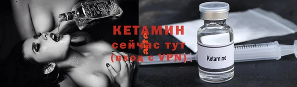 гидра Верхний Тагил