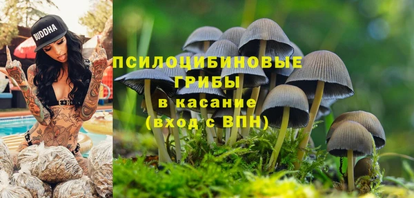 ALPHA PVP Бородино