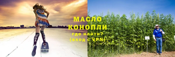 гидра Верхний Тагил